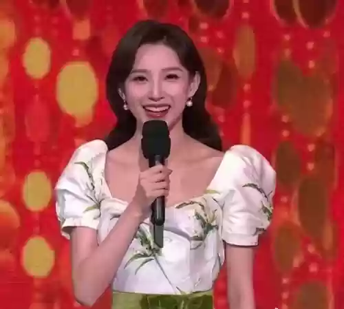 春晚阵容衣服(春节联欢晚会同款衣服图片)插图1