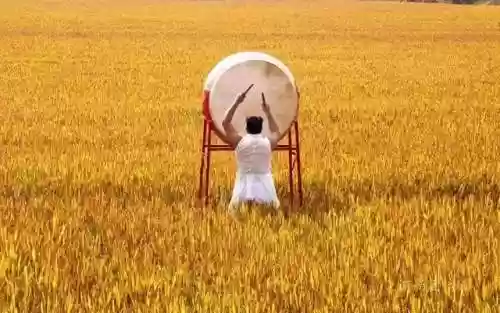 乡村阵容加强(平民最强阵容搭配)插图1