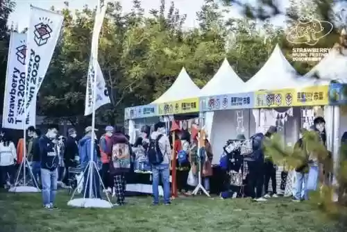 同德跨年阵容(pk赛季t0阵容表)插图6