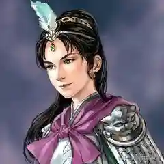 三国人妻妾阵容攻略(三国娶妻纳妾游戏)插图2