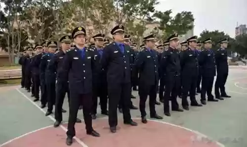 真实执法阵容装备搭配(执法装备的配备和应用)