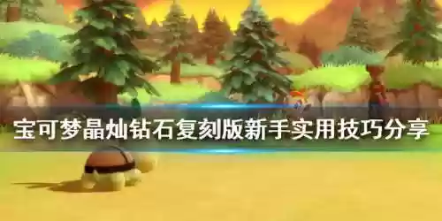 晶灿钻石对战区单打阵容(晶灿钻石四天王冠军阵容)