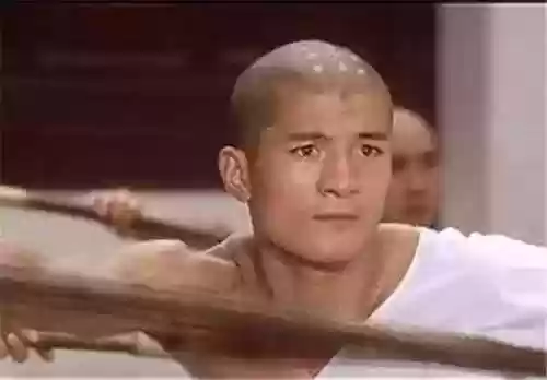 李连杰版少林寺演员阵容(少林寺最厉害的武功)插图23