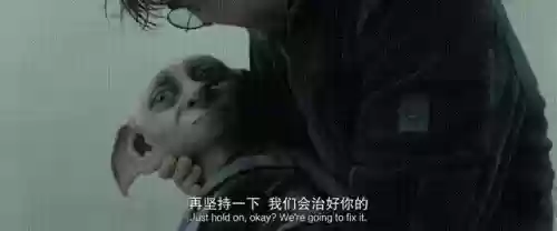 精灵巫师阵容(精灵训练师阵容搭配)插图15