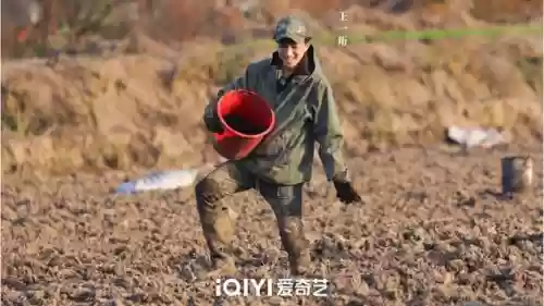种田吧阵容(这里有良田最强阵容)插图7