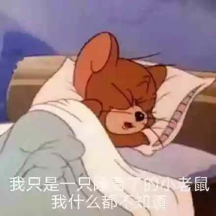 沙雕猫和老鼠阵容推荐(猫和老鼠鼠方最强阵容)插图2
