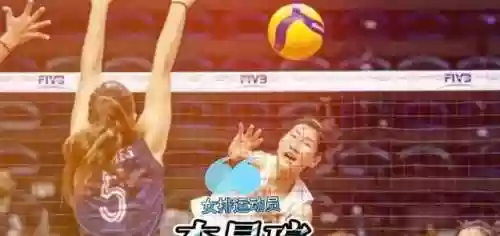 飞机310阵容(s3t0阵容三国志战略版)插图5