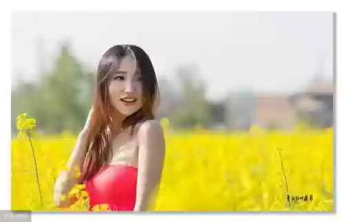 失恋阵容歌词(失恋阵线联盟的歌词)插图1