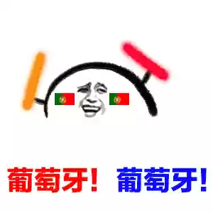 葡萄牙阵容表情包是谁(西班牙国家队最新阵容)插图3
