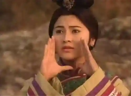 杨玉环的三港版1995(大唐美女杨贵妃三㚫是谁演的)插图10