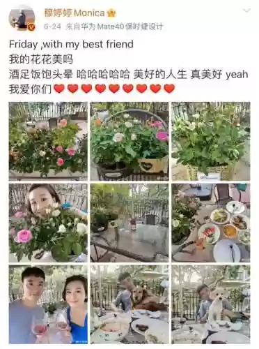 穆婷婷阵容(盛世芳华阵容怎么搭配)插图28
