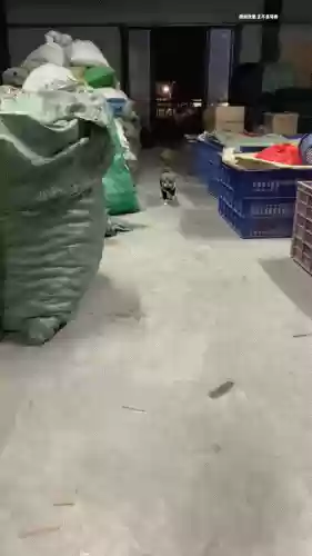 逗比搞笑图片(怎么在手机上玩逗比危机)插图16