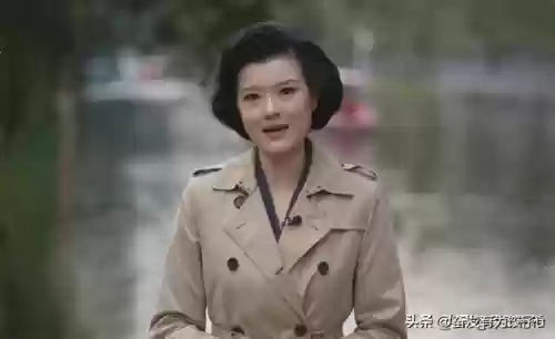 老面孔阵容(八分旅人2阵容搭配)插图6