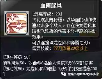 冒险岛暗影双刀技能加点(2024冒险岛t0输出的职业)插图6