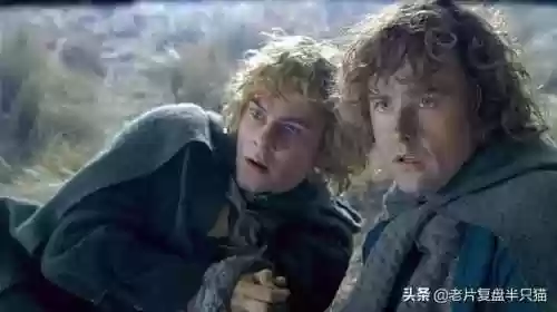 魔戒阿拉贡为什么死了(魔戒甘道夫死了没)插图42