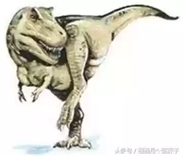 食肉恐龙前30排名(方舟食肉恐龙排行榜)插图1