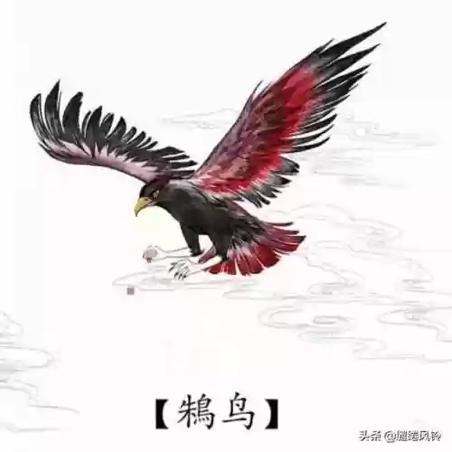 108只神兽大全(宝可梦98只神兽图片)插图28