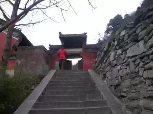 我在武当睡十年(武当睡十年最新章节内容)插图41