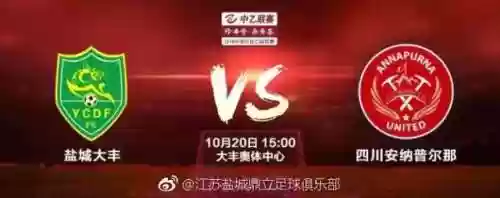 盐城大丰阵容(三国志战略版乐进S1阵容搭配)