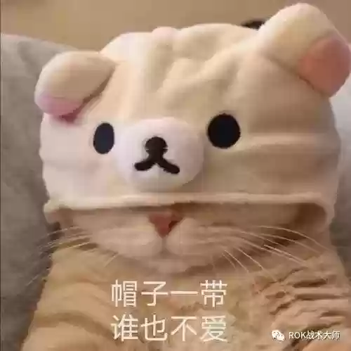 万国觉醒关羽副将最强阵容(万国觉醒怎么添加副将)插图60