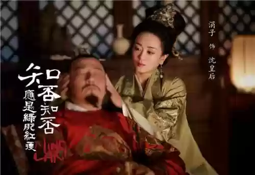 西游记后传的演员阵容表(西游记十五集演员表)插图15