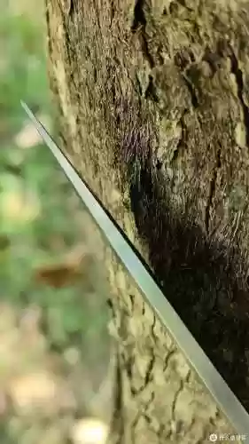 外形好看的刀(十大最锋利的小刀)插图15