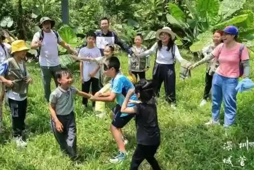深圳公园文化季阵容(深圳的公园人气排行榜)插图18