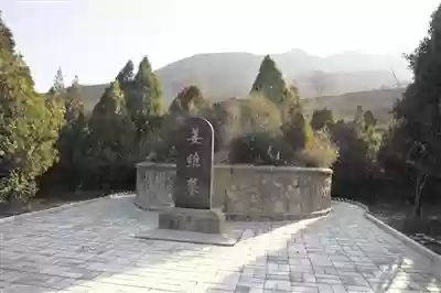 掌上无双蜀国姜维阵容(无双魏蜀吴后期最强阵容)