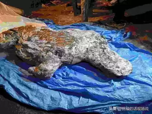 动物大作战无敌阵容(动物战争模拟器辅助菜单最新版)插图11