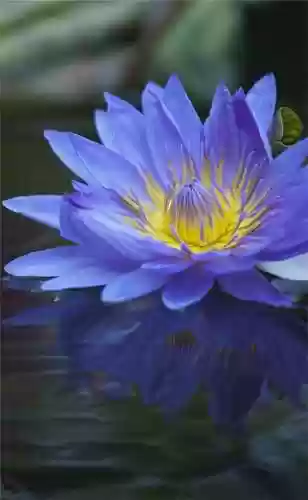 精美壁纸手机高清图片(精美壁纸动漫 二次元男生帅气)插图44