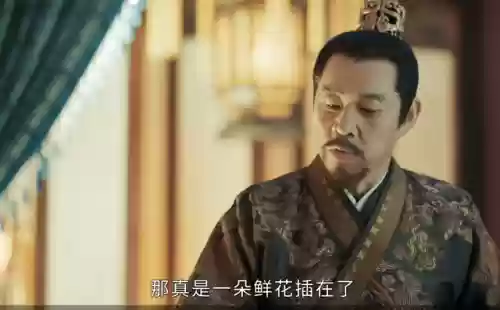 山河月明演员阵容有多强大(演员阵容最强大的电视剧)插图4