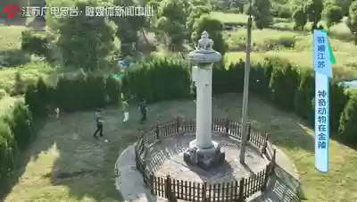 神兽是什么意思(神兽在家文案幽默句子)插图36