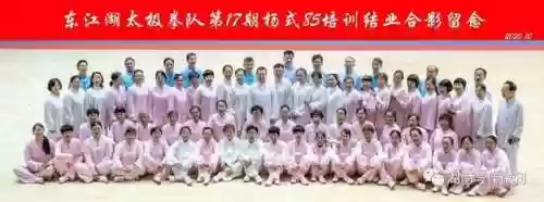 资兴队阵容(陆太鲁t0最强阵容)