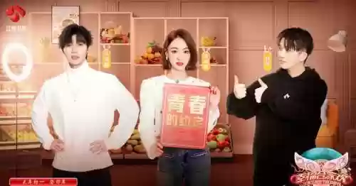 辽宁卫视最奇葩的阵容(辽宁卫视专门放小品的节目叫什么)插图3