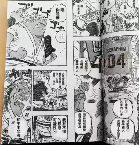 海贼王900集国语版卡通站(海贼王角色介绍)插图4