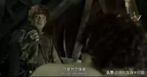 魔戒阿拉贡为什么死了(魔戒甘道夫死了没)插图56