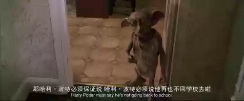 精灵巫师阵容(精灵训练师阵容搭配)插图13