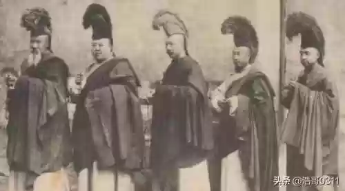 动物园里动物100种(动物园里有什么动物呢)插图29