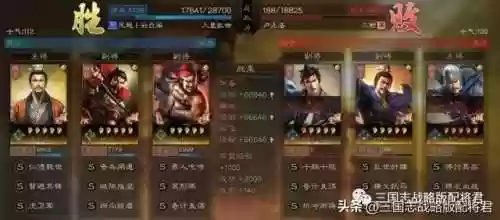 啥阵容克制虎卫盾阵容(s3最强阵容)插图4