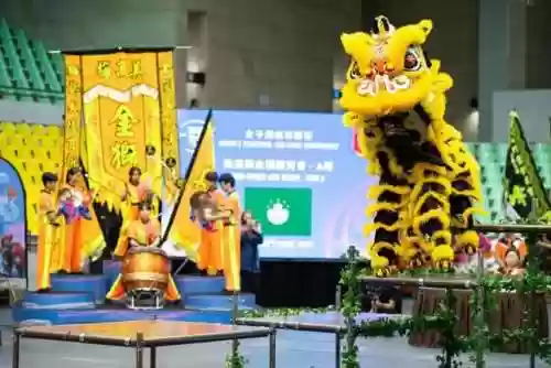 亚洲狮王阵容(泰加动物园狮子阵营)插图7