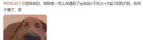 阴阳师鬼鹅天狗阵容推荐(阴阳师大天狗御魂搭配)插图4