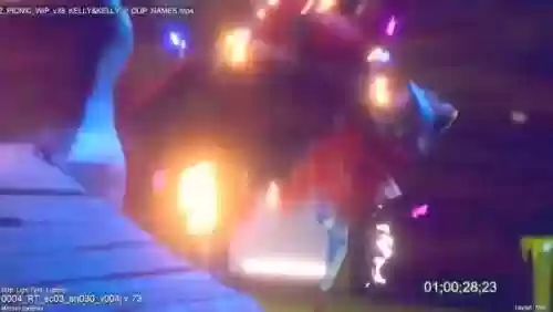 植物大战僵尸射击游戏(手机十大最好玩游戏)插图5