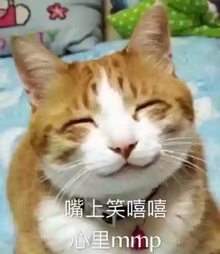 少侠三国志最强阵容搭配(少年三国志玩什么阵营)插图3