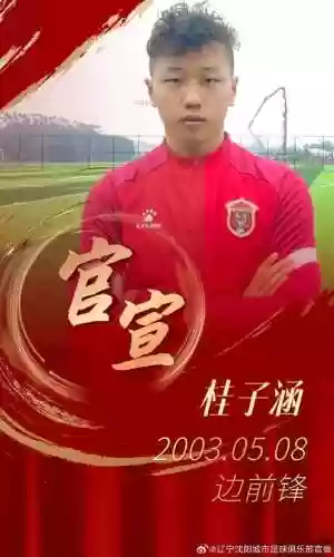 华谊津冠阵容(华谊集团高管名单)插图9