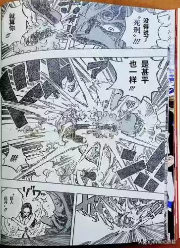 海贼王900集国语版卡通站(海贼王角色介绍)插图7