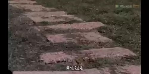 云顶双人玩傻冒阵容(云顶最简单无脑的阵容)插图27
