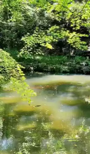 狮子觉醒阵容(觉醒的狮子座有多厉害)插图8