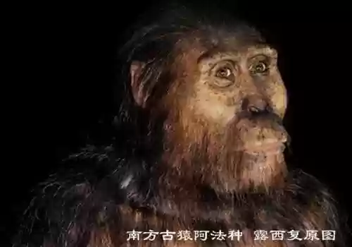 无限世界进化史(无限恐怖之新的崛起)插图11