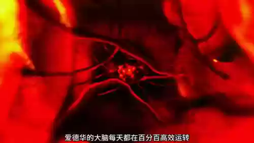 永无止境2(永无止境2在线观看电视剧)
