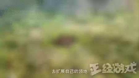 网易格斗游戏(网易最火的十大游戏)插图5